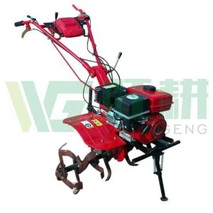 170F / P پٹرول ٹیلر اور نیا ڈیزائن تیار کرنے میں مہارت حاصل کریں